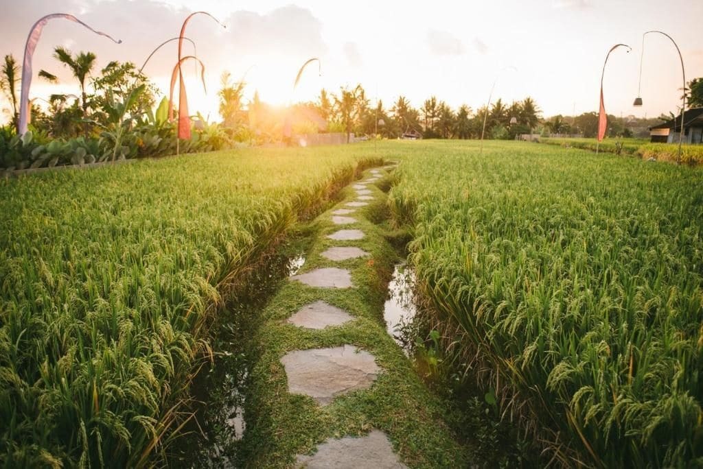 The Runik Ubud المظهر الخارجي الصورة